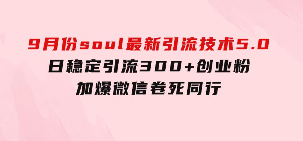 9月份soul最新引流技术5.0，日稳定引流300+创业粉，加爆微信，卷死同行-92资源网