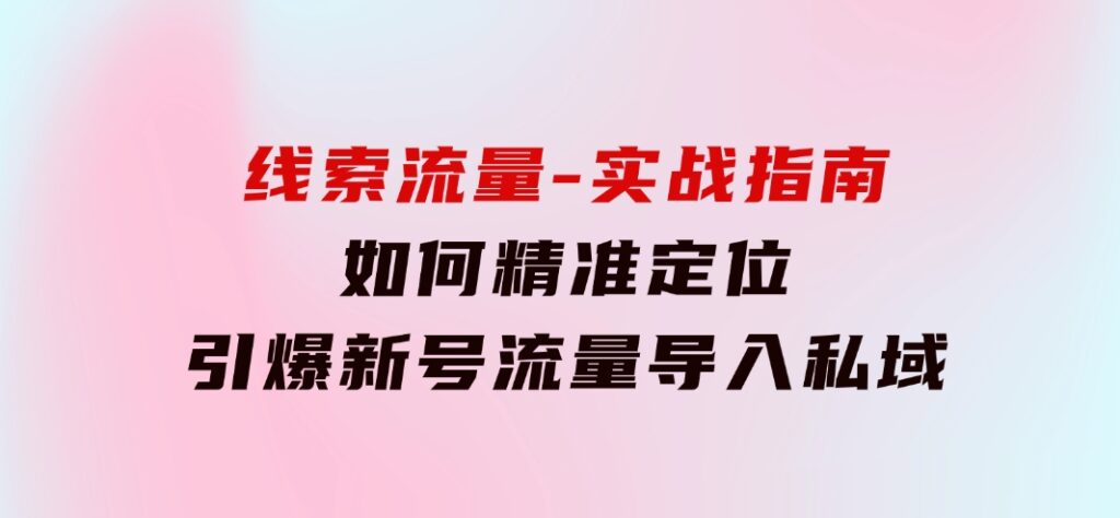 线索流量-实战指南：如何精准定位，引爆新号流量，导入私域-92资源网