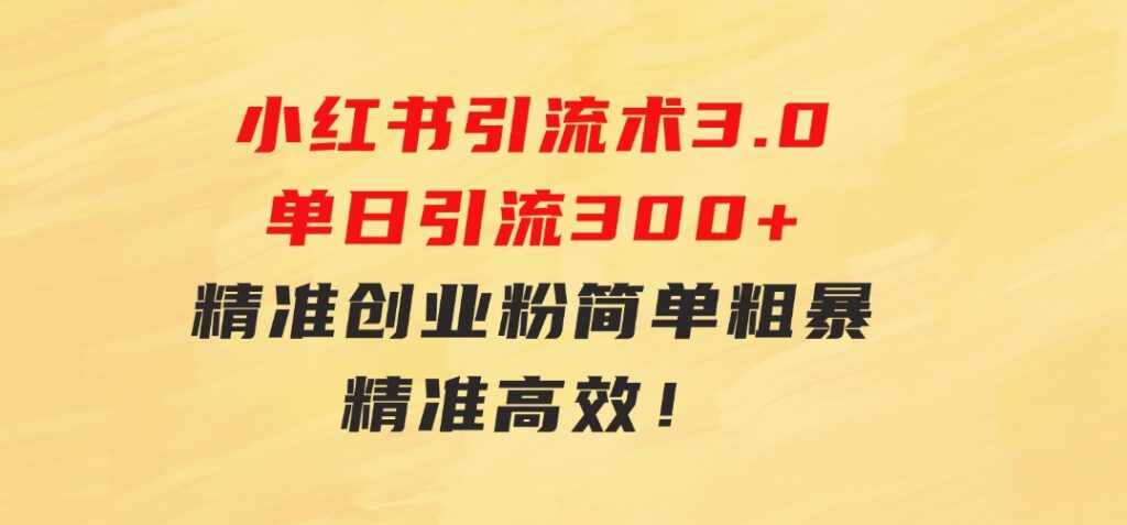 24年最新小红书引流术3.0，单日引流300+精准创业粉，简单粗暴，精准高效！-92资源网