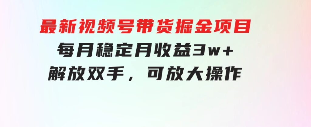 最新视频号带货掘金项目，每月稳定月收益3w+，解放双手，可放大操作-92资源网
