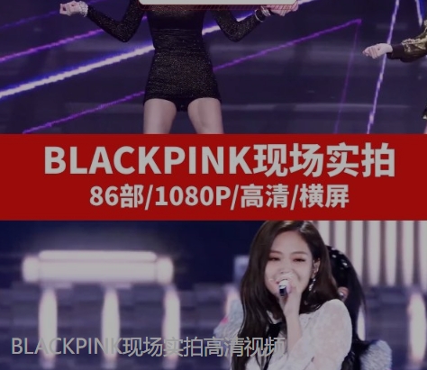 BLACKPINK现场实拍高清视频-92资源网