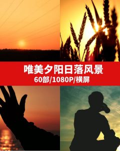 唯美夕阳日落风景视频素材--92资源网