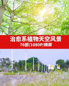 治愈系植物天空风景视频素材-92资源网