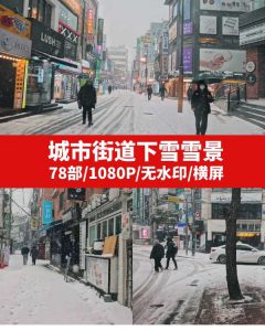 城市街道下雪雪景视频素材-92资源网