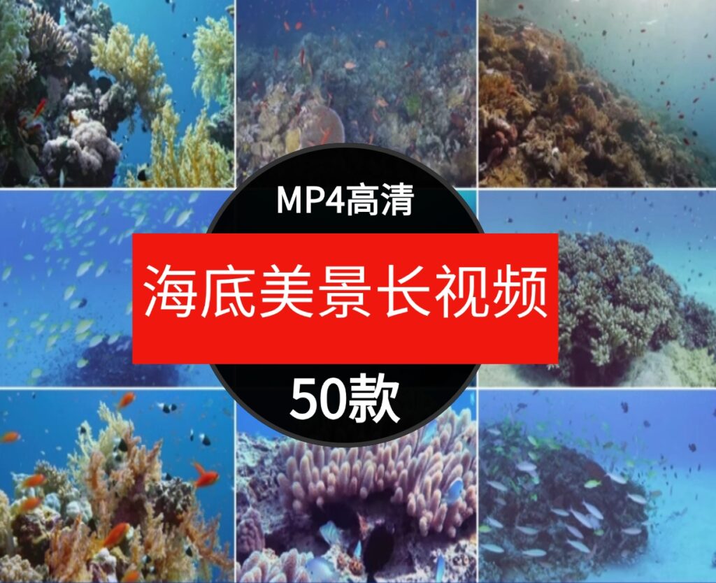 高清海底世界海洋生物鱼群海豚鲨鱼珊瑚潜水特写实拍剪辑视频素材-92资源网