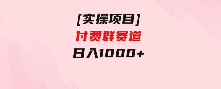 [实操项目]付费群赛道，日入1000+-92资源网