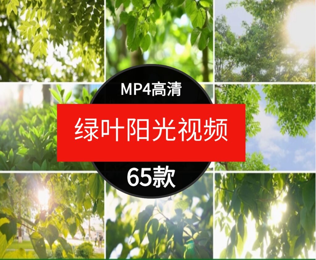 绿色小清新阳光穿透树叶自然美景森林治愈情感背景短片4K视频素材-92资源网