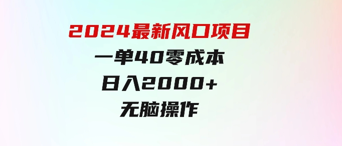 2024最新风口项目，一单40，零成本，日入2000+，无脑操作-92资源网