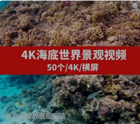 4K海底世界景观视频-92资源网