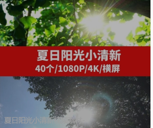 夏日阳光小清新视频素材-92资源网