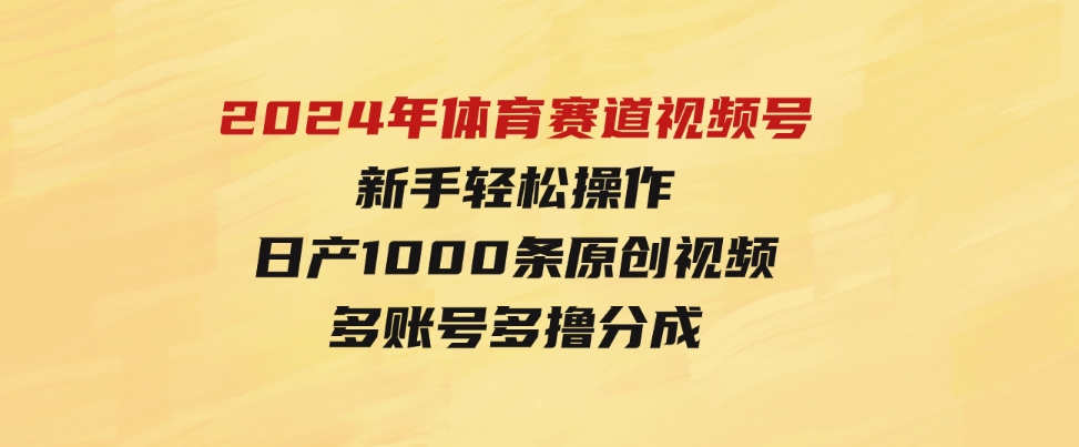 （9810期）2024年体育赛道视频号，新手轻松操作，日产1000条原创视频,多账号多撸分成-92资源网