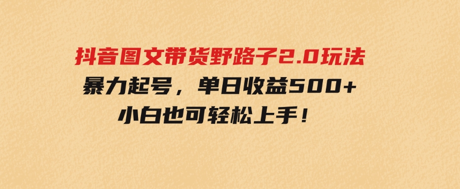 （9790期）抖音图文带货野路子2.0玩法，暴力起号，单日收益500+，小白也可轻松上手！-92资源网