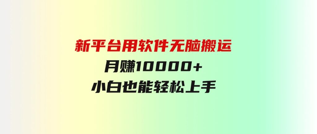 （9745期）新平台用软件无脑搬运，月赚10000+，小白也能轻松上手-92资源网