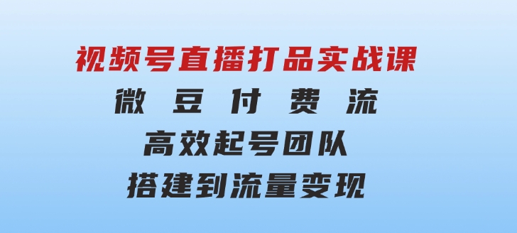 视频号直播打品实战课：微豆付费流，高效起号，团队搭建到流量变现-92资源网