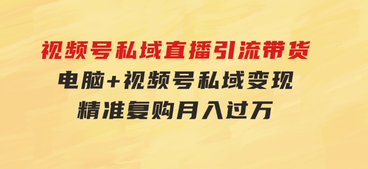 视频号私域直播引流带货：电脑+视频号，私域变现，精准复购，月入过万…-92资源网