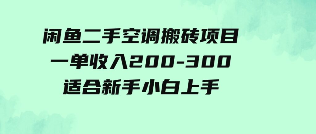 （9539期）闲鱼二手空调搬砖项目，一单收入200-300，适合新手小白上手-92资源网