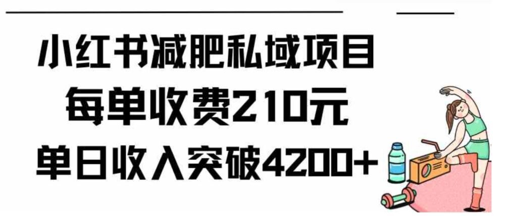 （9466期）小红书减肥私域项目每单收费210元单日成交20单，最高日入4200+-92资源网