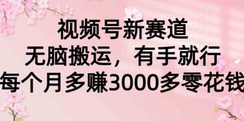 （9278期）视频号新赛道，无脑搬运，有手就行，每个月多赚3000多零花钱-92资源网