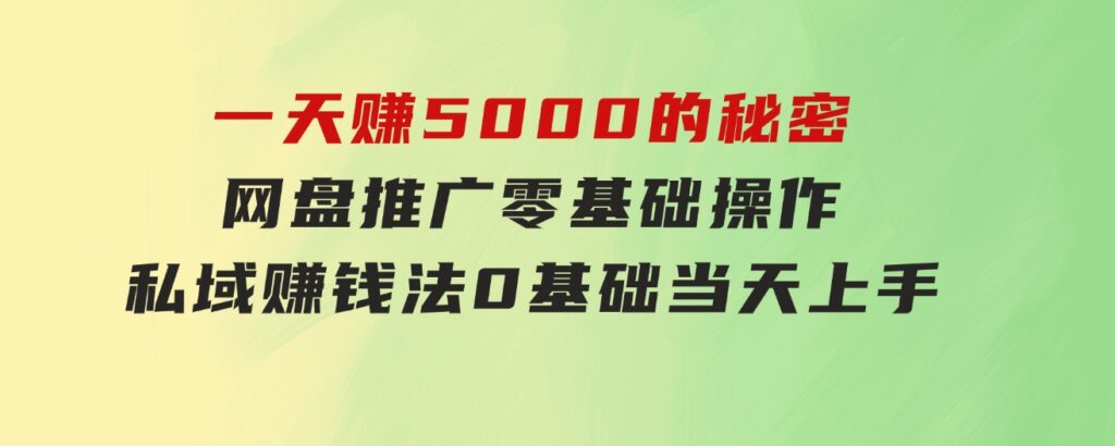 一天赚5000的秘密，网盘推广零基础操作，私域赚钱法，0基础当天上手-92资源网