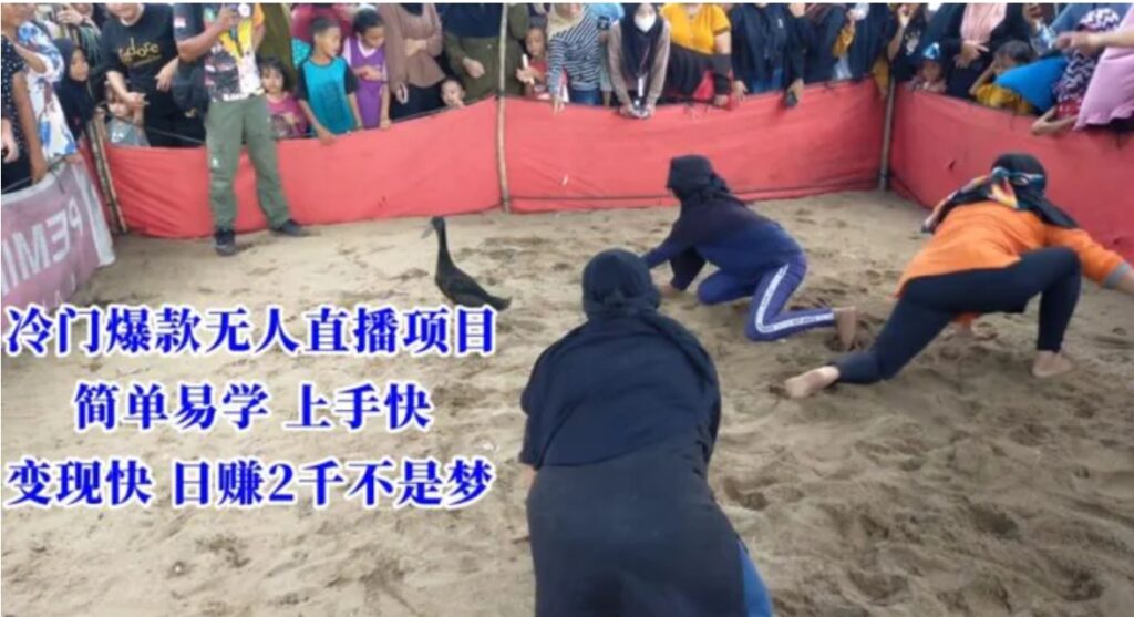 冷门爆款无人直播项目,简单易学上手快,变现快日赚2千不是梦【揭秘】-副业项目资源网