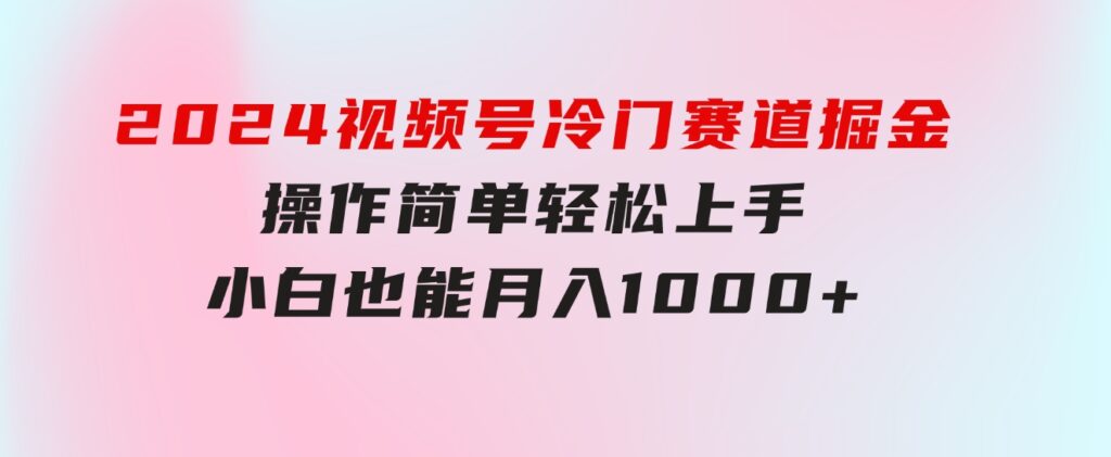 2024视频号冷门赛道掘金，操作简单轻松上手，小白也能月入1000+-92资源网