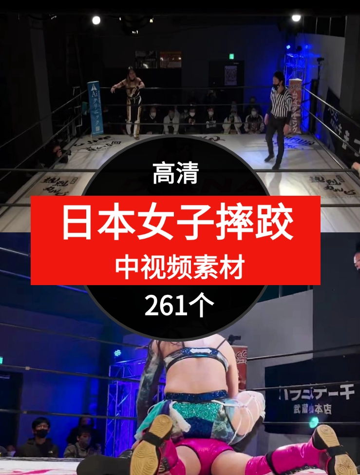 日本女子摔跤视频中视频素材-92资源网