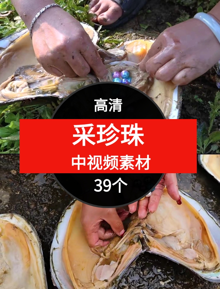 采珍珠视频素材-92资源网