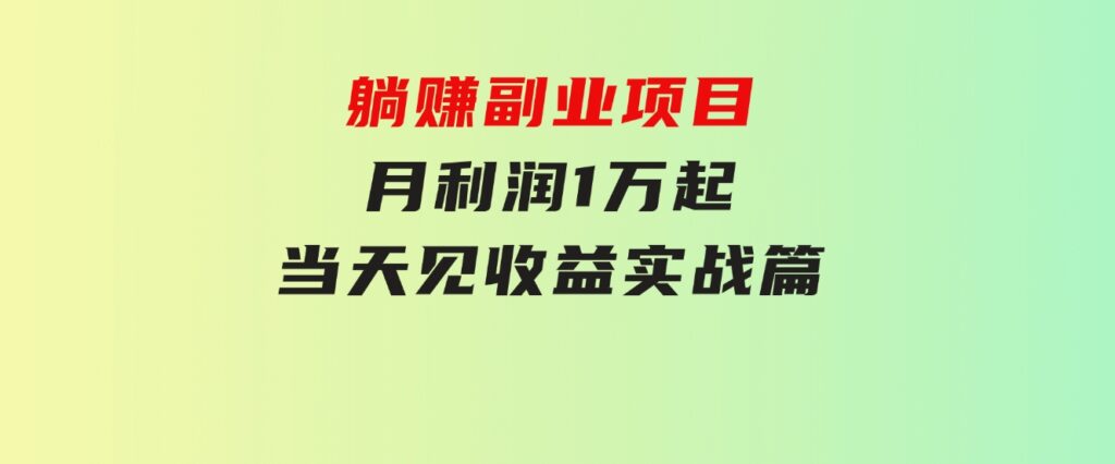 躺赚副业项目，月利润1万起，当天见收益，实战篇-92资源网