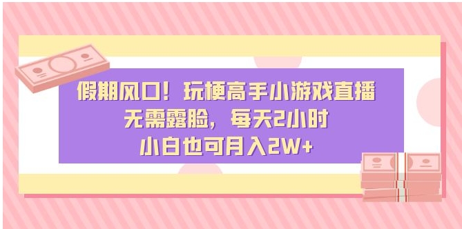 假期风口！玩梗高手小游戏直播，无需露脸，每天2小时，小白也可月入2W+-92资源网