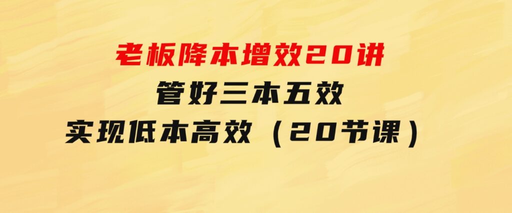 老板降本增效20讲，管好三本五效，实现低本高效（20节课）-92资源网