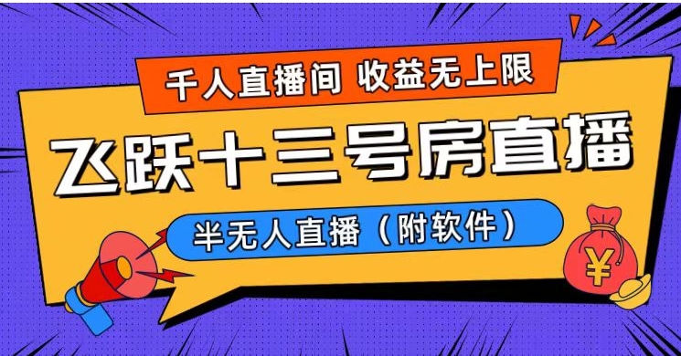 爆火飞跃十三号房半无人直播，一场直播上千人，日入过万！-92资源网