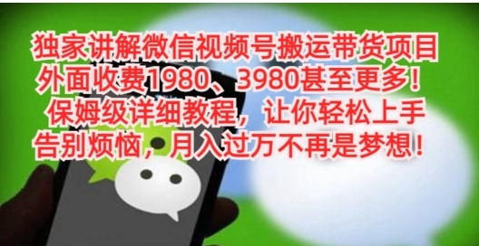 独家讲解微信视频号搬运带货项目，保姆级详细教程-92资源网