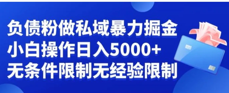 负债粉私域暴力掘金，小白操作入5000，无经验限制，无条件限制【揭秘】-92资源网