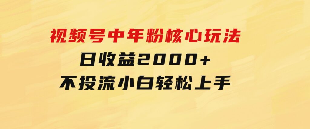 视频号中年粉核心玩法日收益2000+不投流小白轻松上手-92资源网