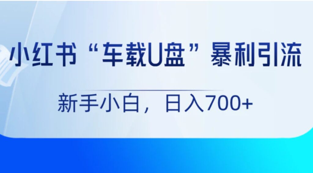 小红书“车载U盘”项目,暴利引流,新手小白轻松日入700+-副业项目资源网