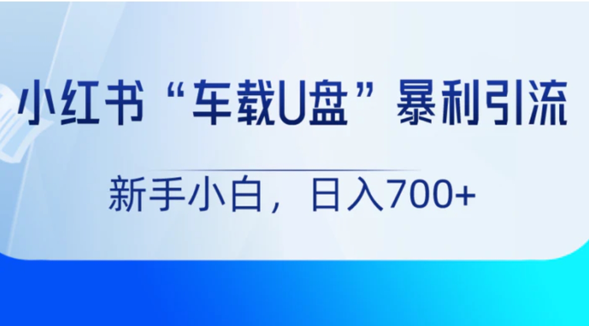 小红书“车载U盘”项目，暴利引流，新手小白轻松日入700+-92资源网