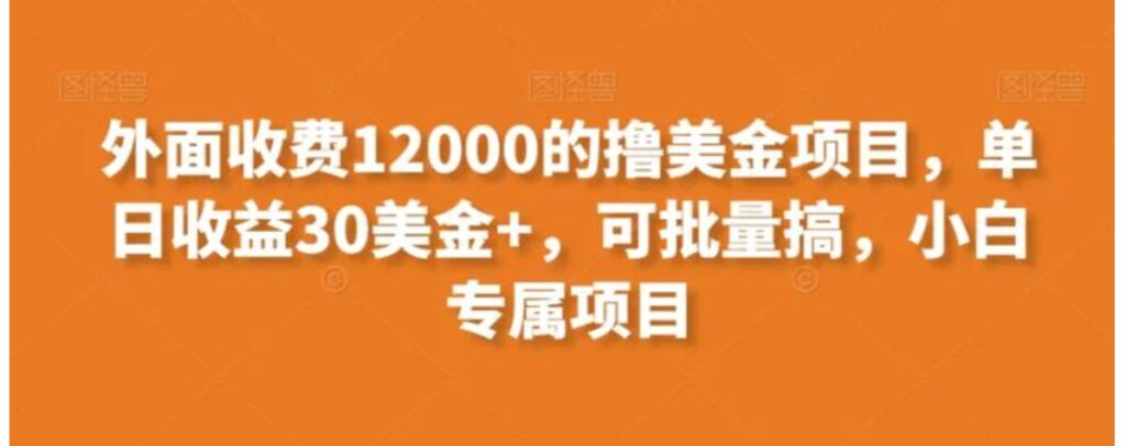 外面收费12000的撸美金项目,单日收益30美金+,可批量搞,小白专属项目-副业项目资源网