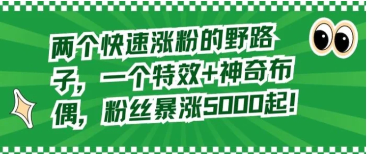 两个快速涨粉的野路子，一个特效+神奇布偶，粉丝暴涨5000起【揭秘】-92资源网