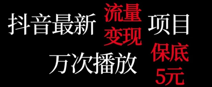 抖音流量变现，万次播放保底5元，额外收入-92资源网