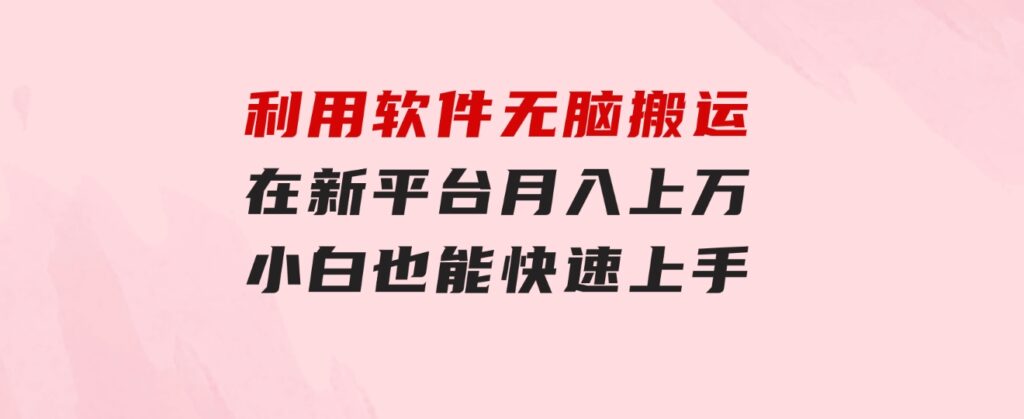 利用软件无脑搬运，在新平台月入上万，小白也能快速上手-92资源网