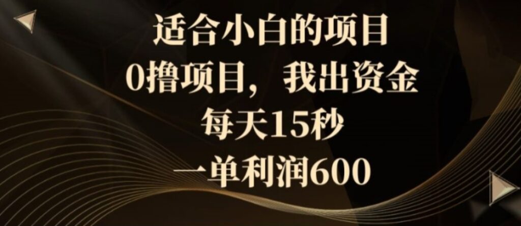 适合小白的项目,0撸项目,我出资金,每天15秒,一单利润600-副业项目资源网