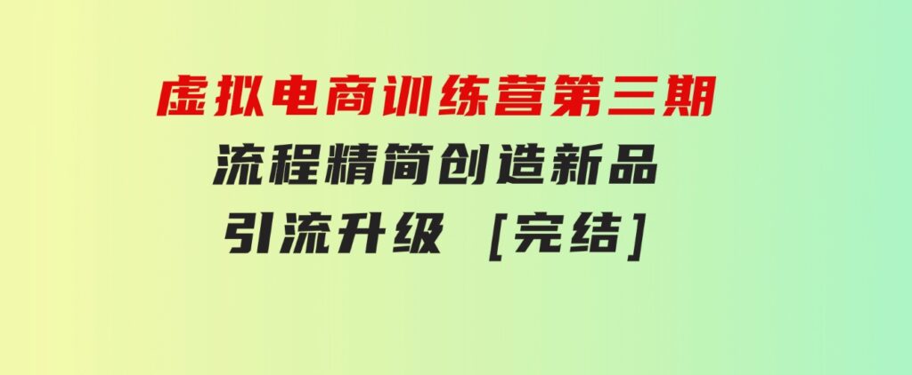 虚拟电商训练营第三期丨流程精简丨创造新品丨引流升级[完结]-92资源网