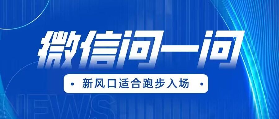 全网首发微信问一问新风口变现项目-92资源网