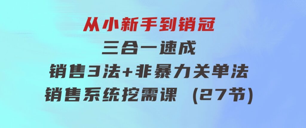 从小新手到销冠三合一速成：销售3法+非暴力关单法+销售系统挖需课(27节)-92资源网