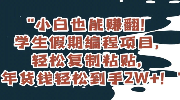 小白也能赚翻！学生假期编程项目，轻松复制粘贴，年货钱轻松到手2W+【揭秘】-92资源网