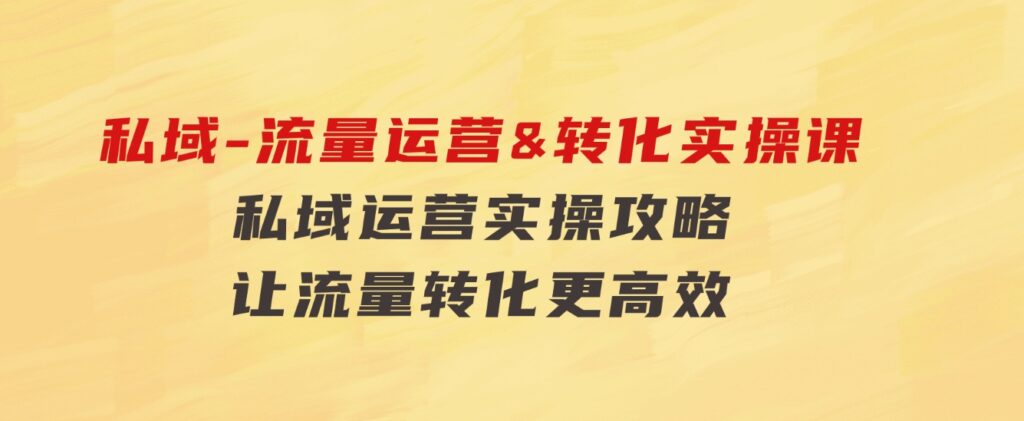 私域-流量运营&转化实操课：私域运营实操攻略让流量转化更高效-92资源网