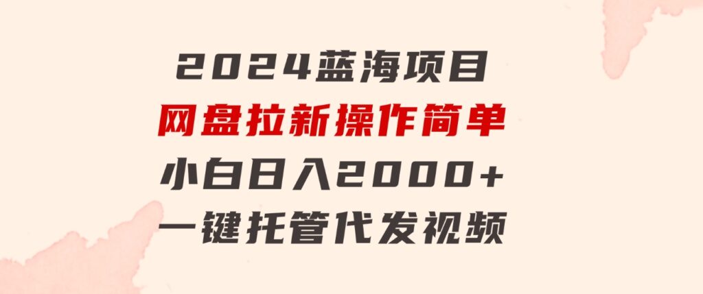 2024蓝海项目，网盘拉新，操作简单小白日入2000+，一键托管代发视频-92资源网