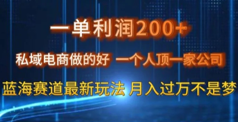 一单利润200私域电商做的好，一个人顶一家公司蓝海赛道最新玩法【揭秘】-92资源网