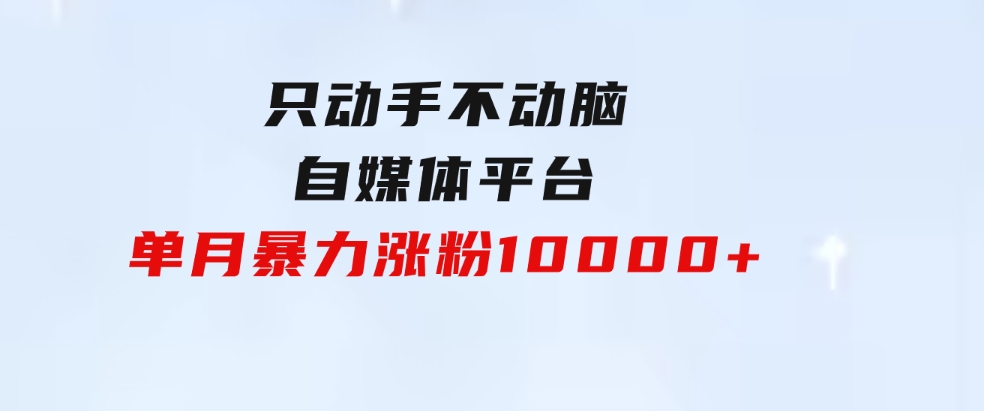 只动手不动脑，自媒体平台单月暴力涨粉10000+-92资源网