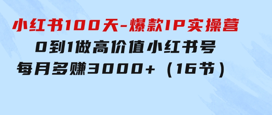 小红书100天-爆款IP实操营，0到1做高价值小红书号每月多赚3000+（16节）-92资源网